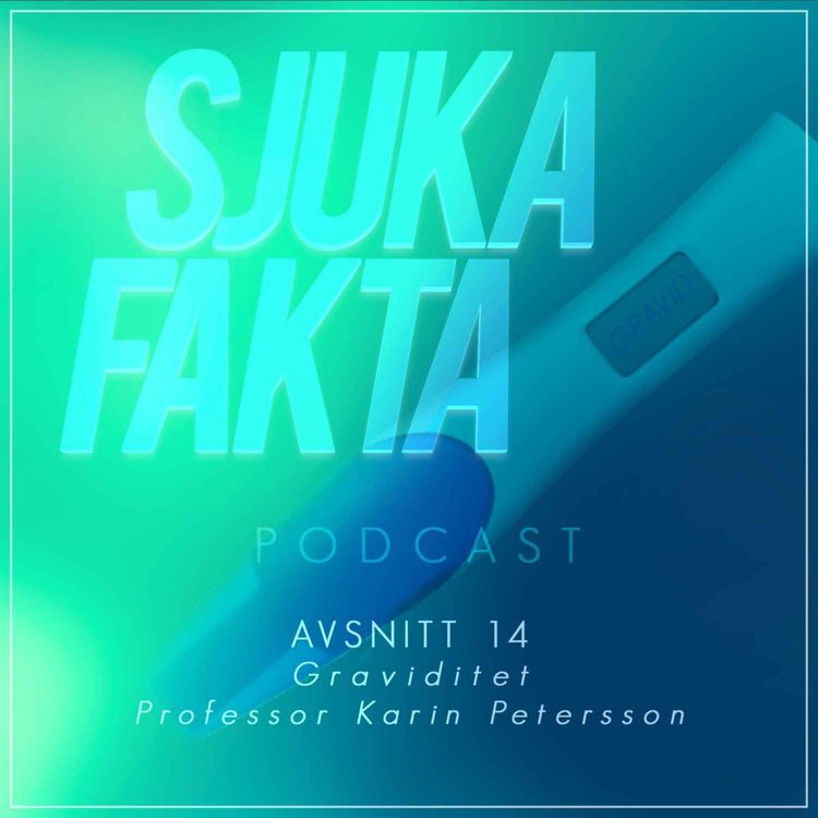 cover art for Myter om Graviditet - Docent Karin Pettersson