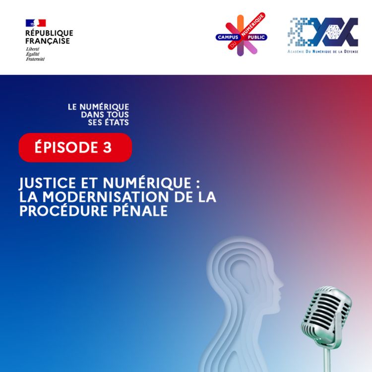 cover art for  Justice et numérique : la modernisation de la procédure pénale