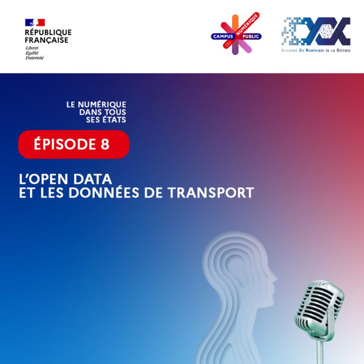 cover art for L’open data et les données de transport