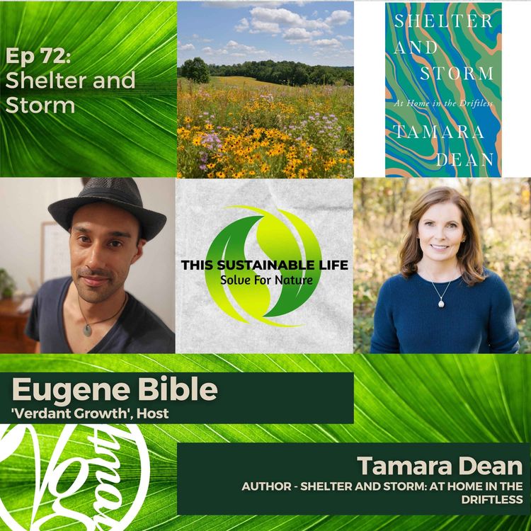 cover art for Shelter and Storm w/ Tamara Dean