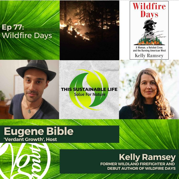 cover art for Wildfire Days w/ Kelly Ramsey
