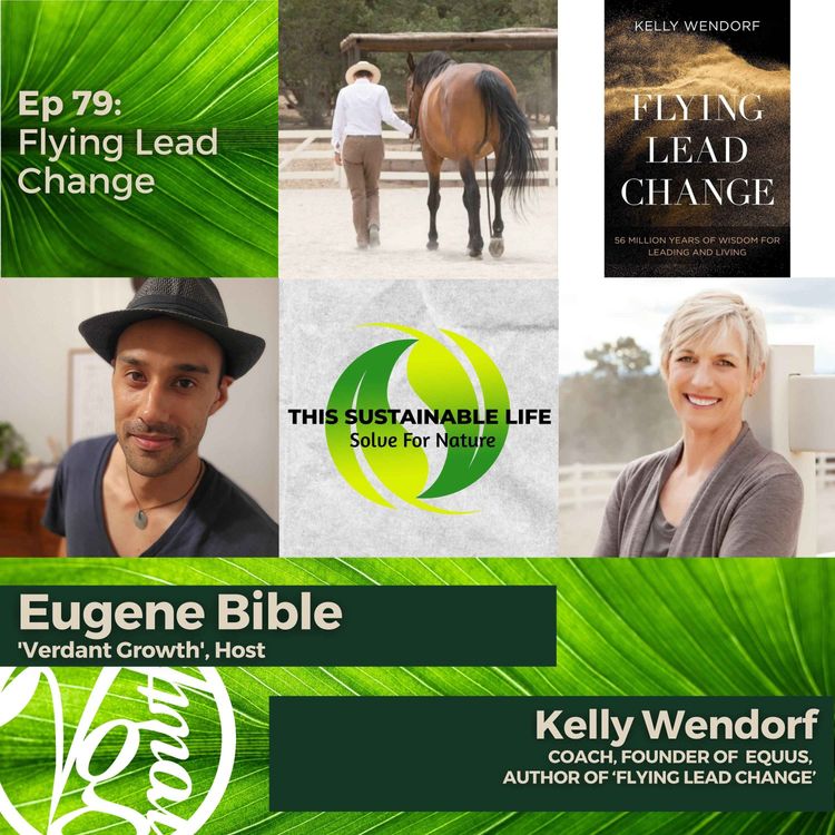 cover art for Flying Lead Change w/ Kelly Wendorf