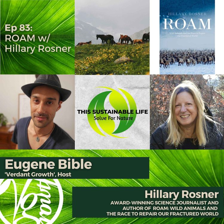 cover art for ROAM w/ Hillary Rosner