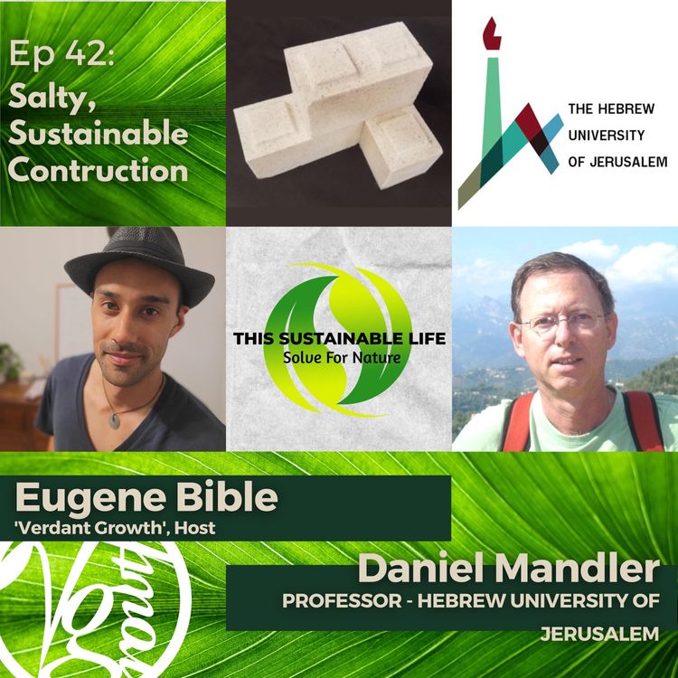 cover art for Salty, Sustainable Construction w/ Daniel Mandler