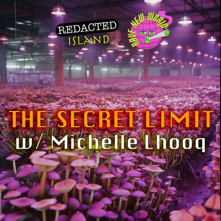 cover art for 5. The Secret Limit w/ Michelle Lhooq