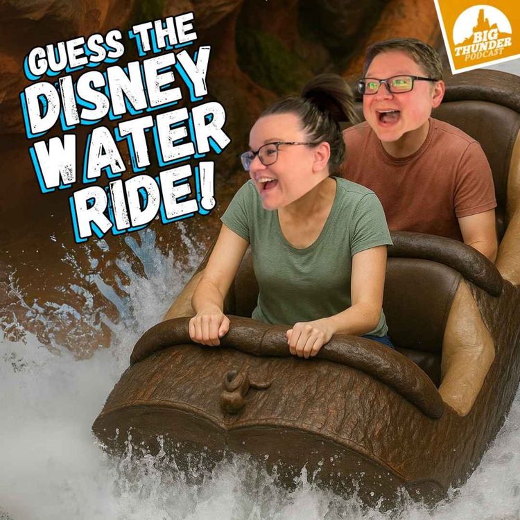 cover art for Can you Guess the DISNEY WATER RIDE???