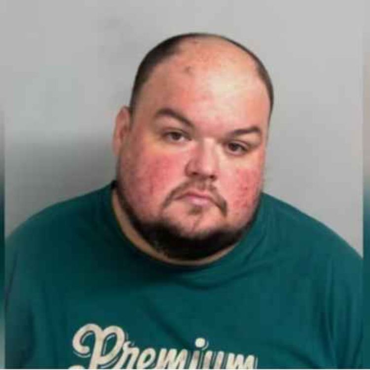 cover art for The Plot to Kidnap Holly Willoughby: Inside Gavin Plumb’s Obsession