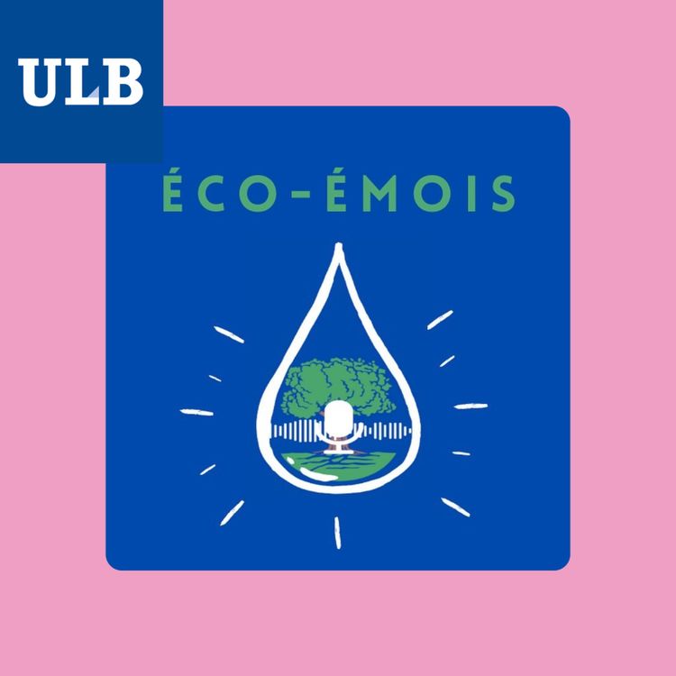 cover art for Éco-Émois - Ep.03 : Les résultats de l'étude sur l'éco-anxiété