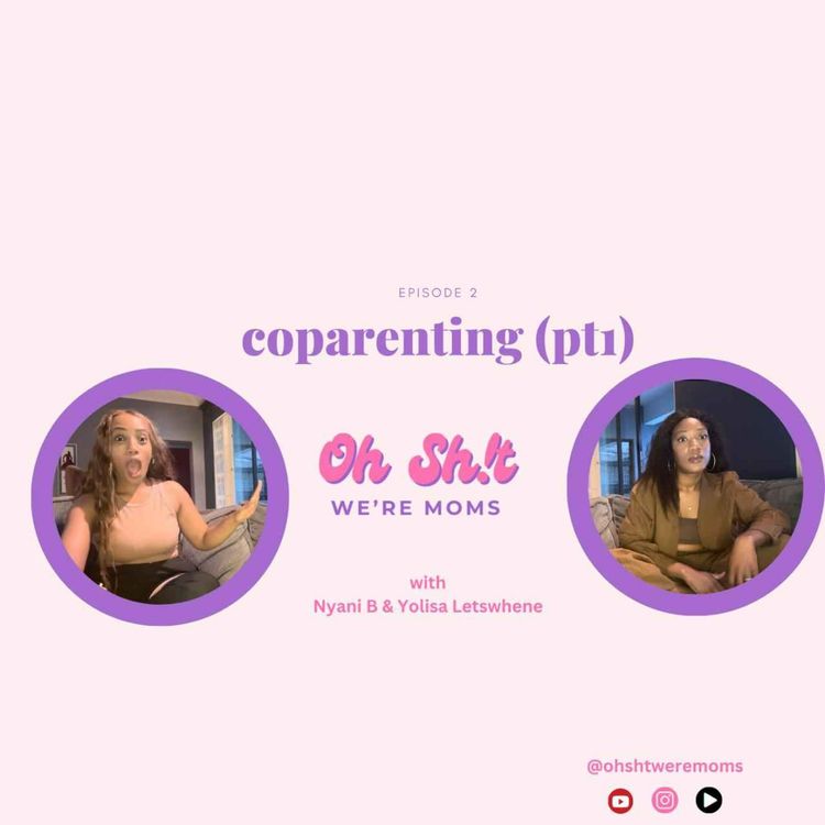 cover art for co-parenting pt1