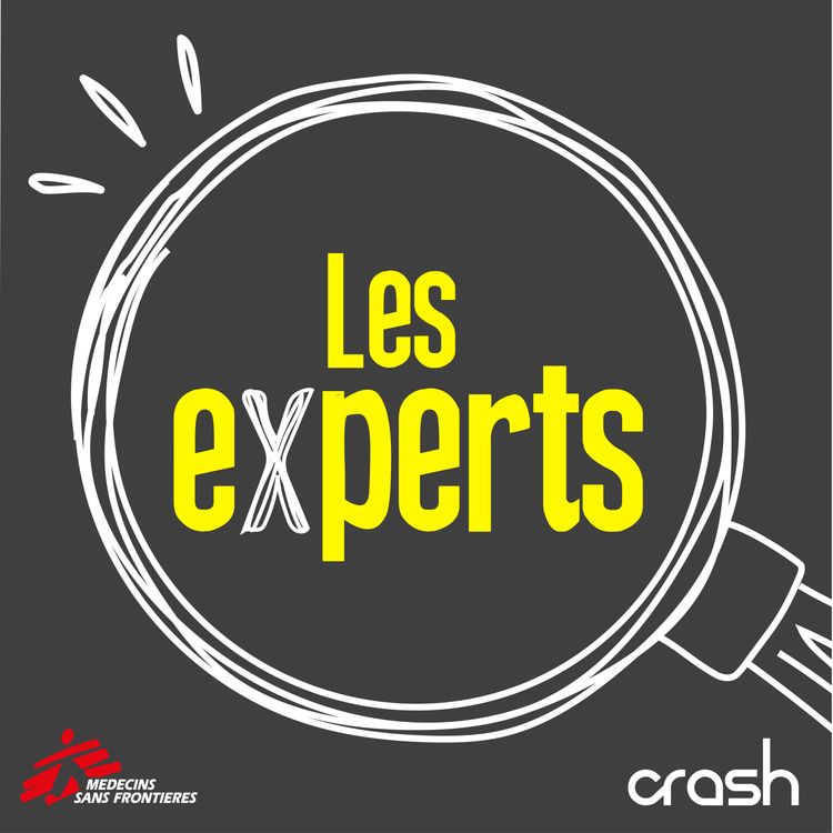 cover art for Le médicament qui devait sauver l’Afrique [Les experts #11]