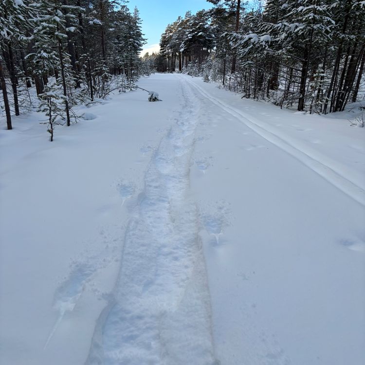 cover art for Juleshow 2025