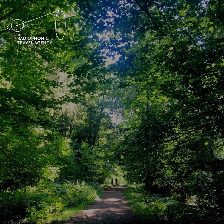 cover art for Walk, Run and Ride in the Forest of Dean