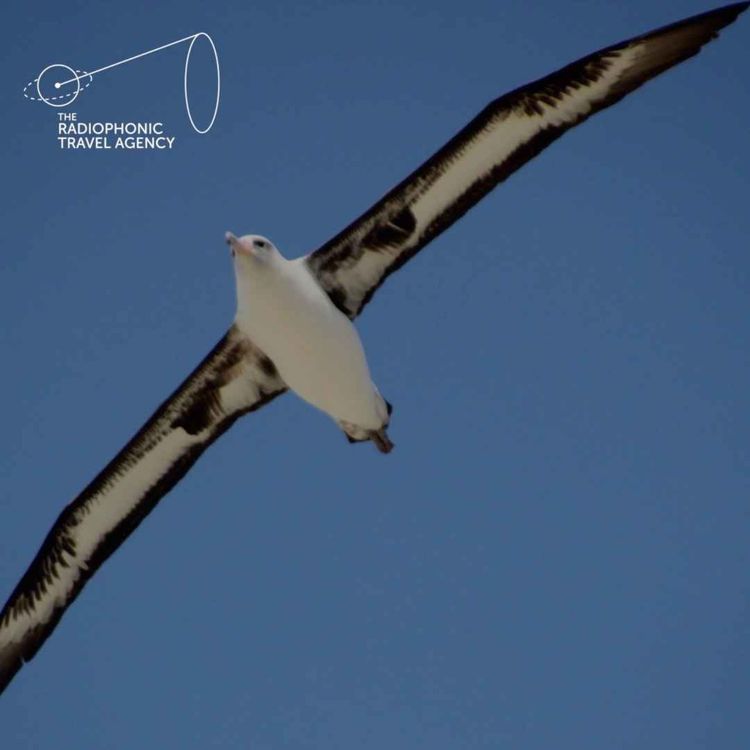 cover art for Midway Atoll Albatross and Petrel colonies