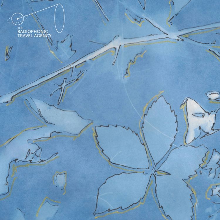 cover art for The Arb