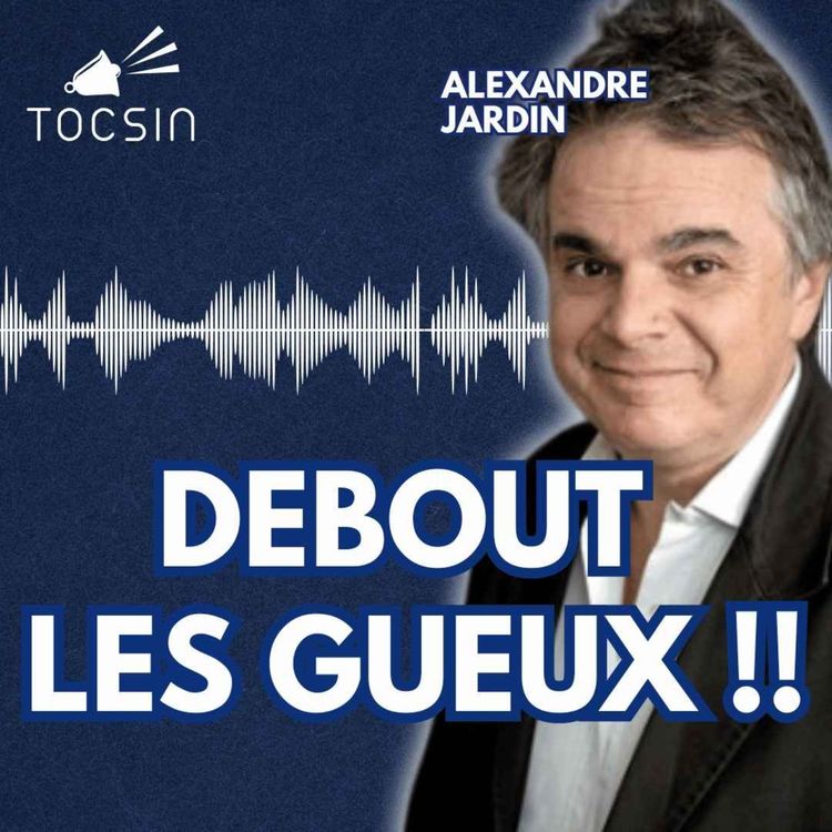 cover art for La Matinale Tocsin du 27/03 : Debout les gueux ! La révolte contre les ZFE continue ! - Alexandre Jardin