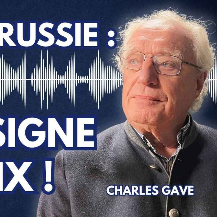 cover art for La Matinale Tocsin du 26/11 : Ukraine/Russie : la paix enfin signée ? Avec Charles Gave