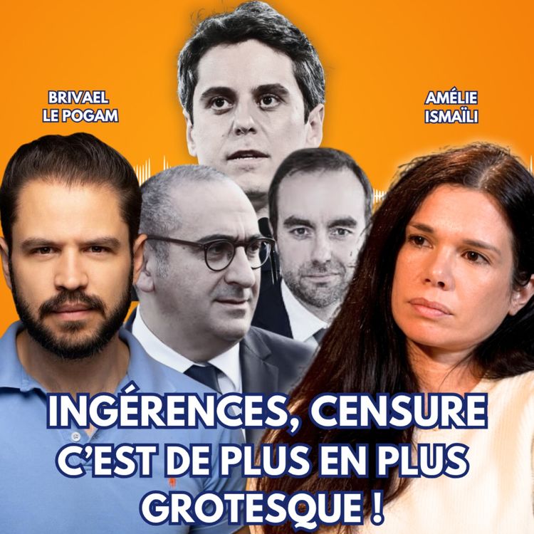 cover art for Réseau Matriochka, rapports VIGINUM… Les ingérences fabriquées pour 2027 !