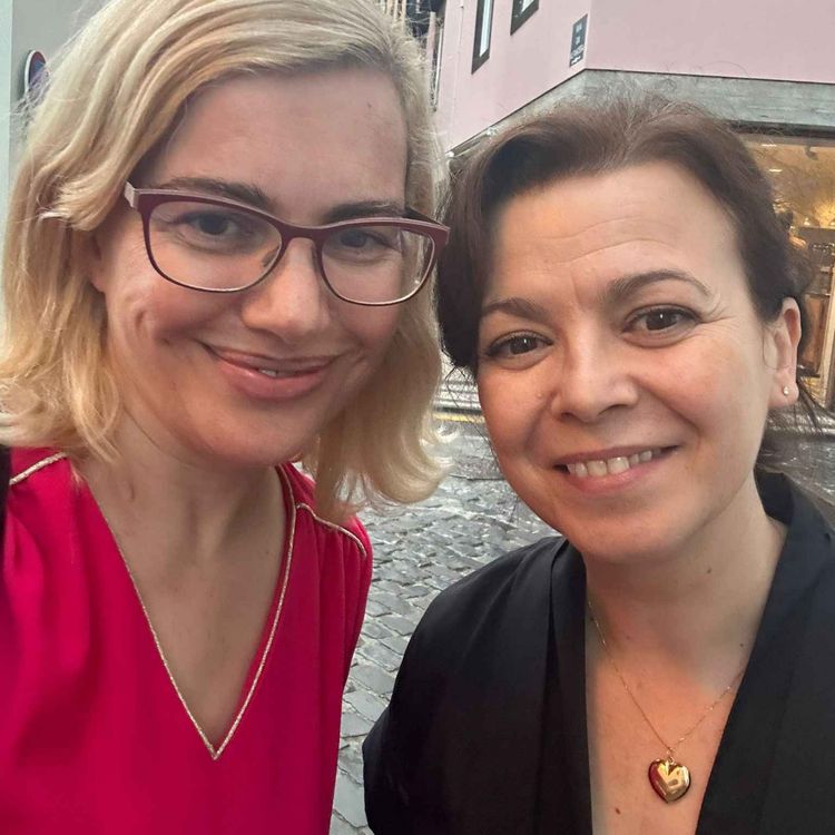 cover art for A queda dos partidos