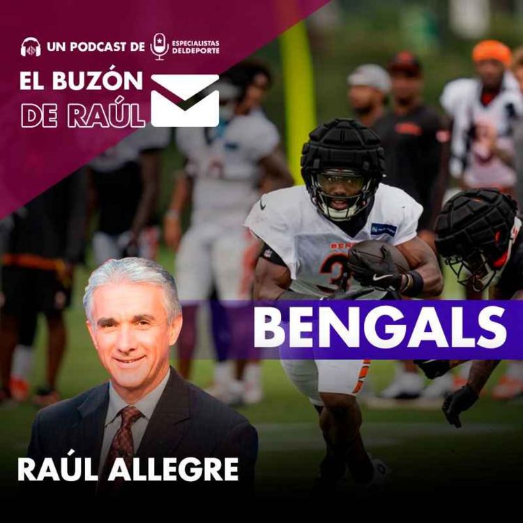 cover art for El Buzón de Raúl: Bengals