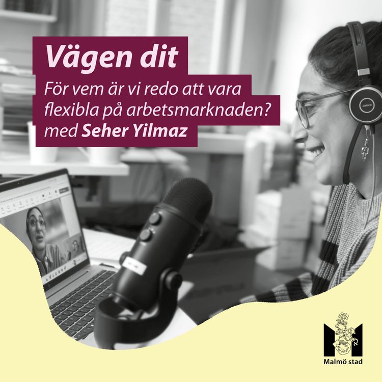 cover art for 7. Seher Yilmaz - för vem är vi flexibla på arbetsmarknaden?