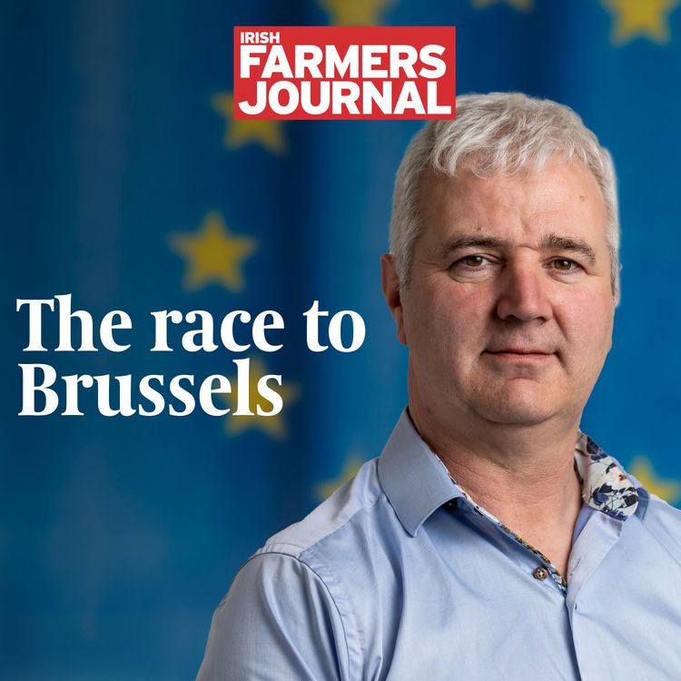 cover art for Ep 1025: Politics podcast - the race to Brussels remains tight
