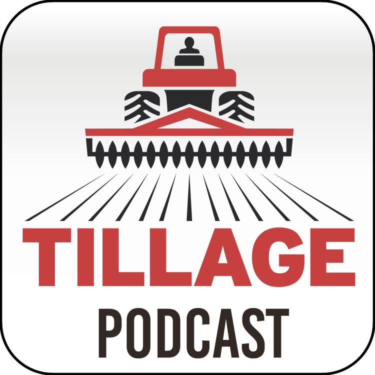 cover art for Ep 1079: The Tillage Podcast - visiting a very busy Co Laois grain intake