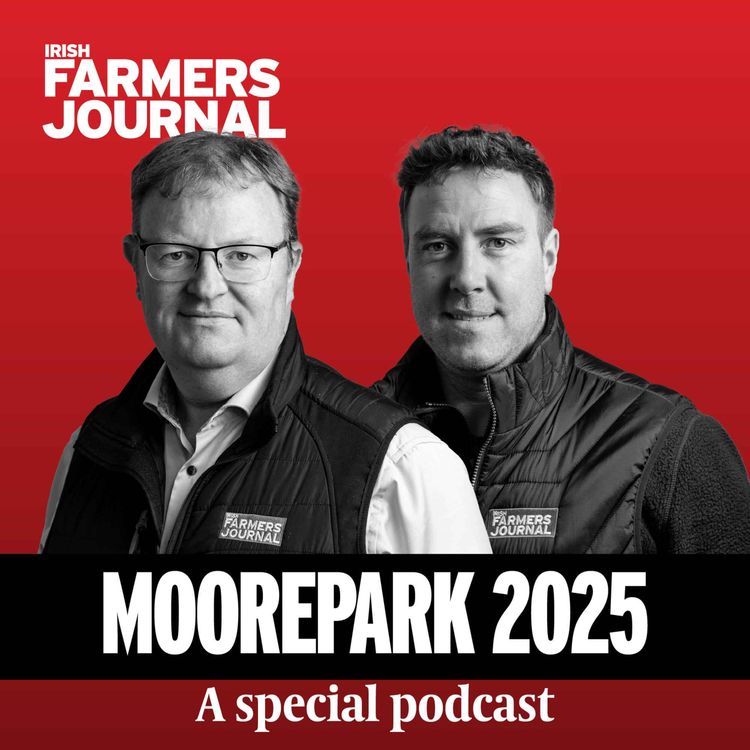 cover art for Ep 1262: Special - Moorepark 2025