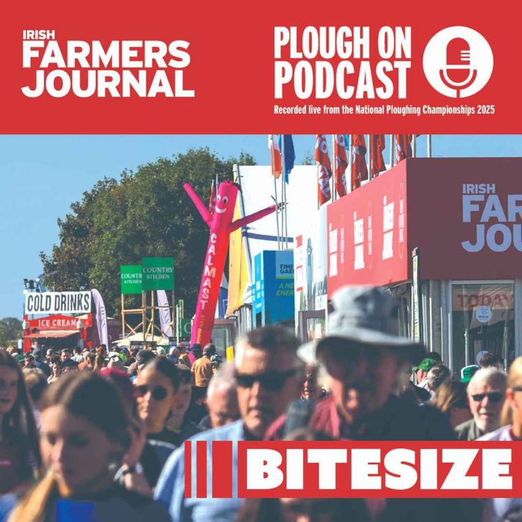 cover art for Plough On Bitesize