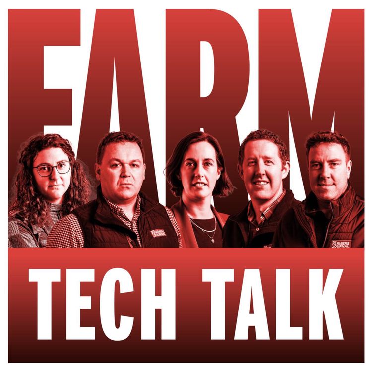 cover art for Farm Tech Talk - a future cattle shortage and the lamb trade