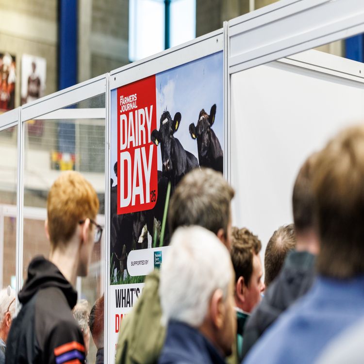 cover art for Dairy Day 2025 - Highlights