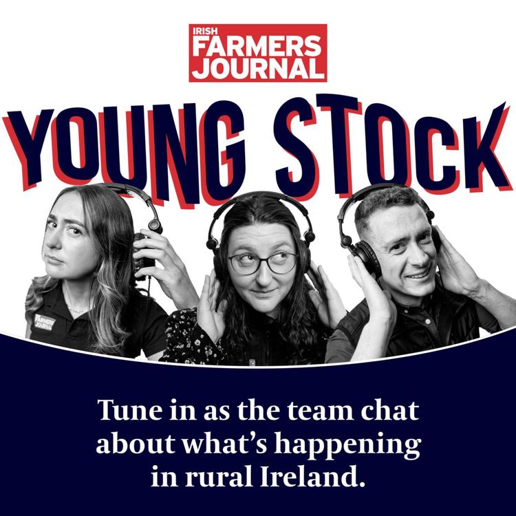 cover art for Young Stock podcast - The Louth man who swapped selling hens for selling diet feeders 