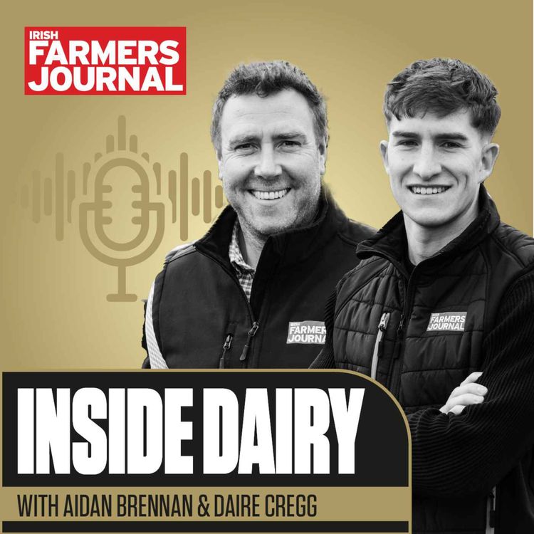 cover art for Inside Dairy – A taste of this week’s podcast