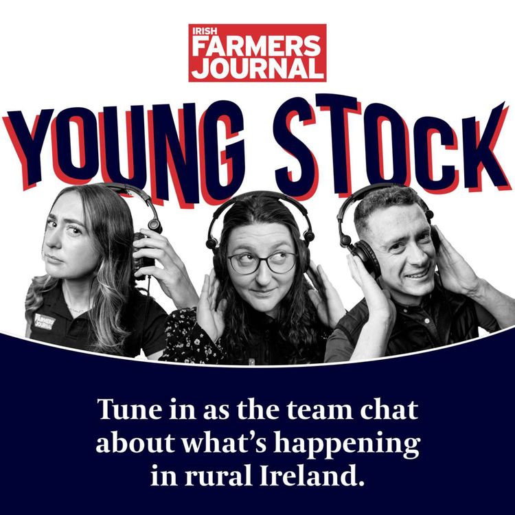 cover art for Young Stock - Valentines Special, when is a farm date a date? 