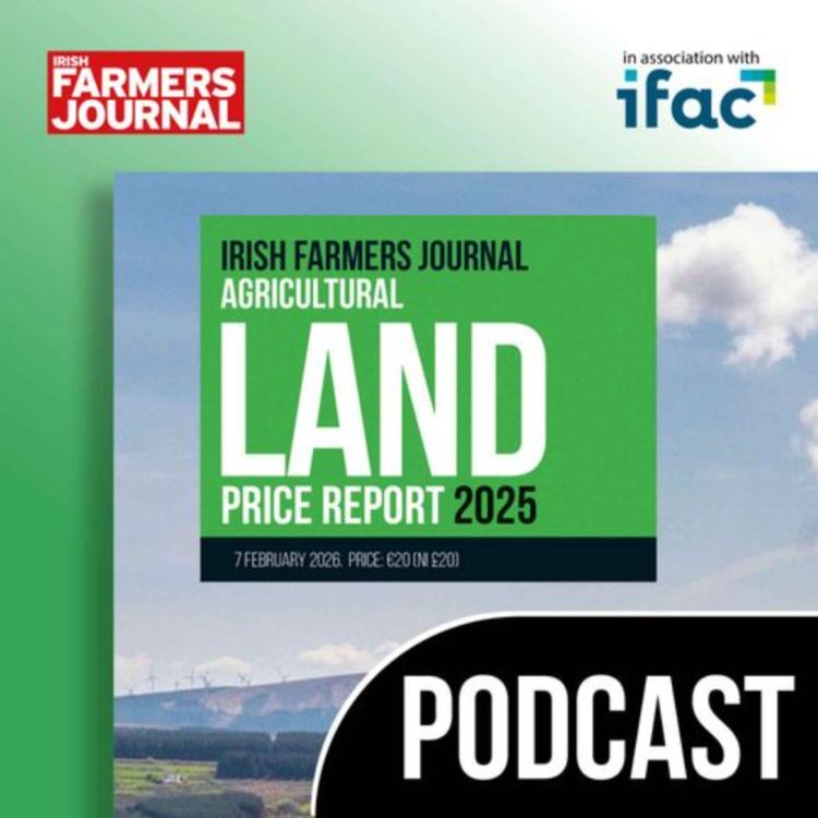 cover art for The IFJ Land Report 2025 