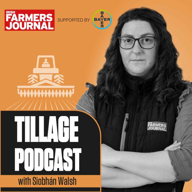 cover art for The Tillage Podcast - Flour funding, malting, straw houses and changing Bord Bia rules