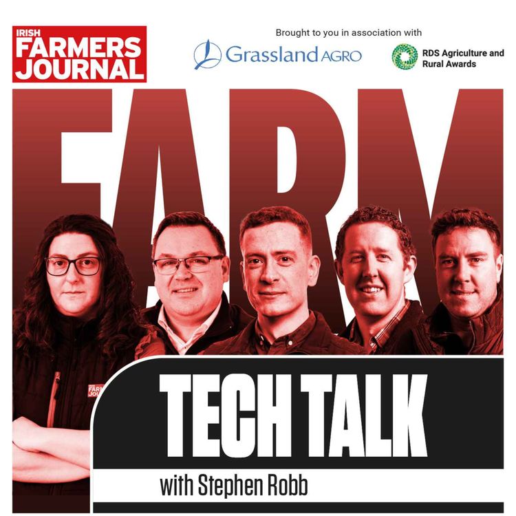 cover art for Farm Tech Talk – Bord Bia, wet weather and livestock trade