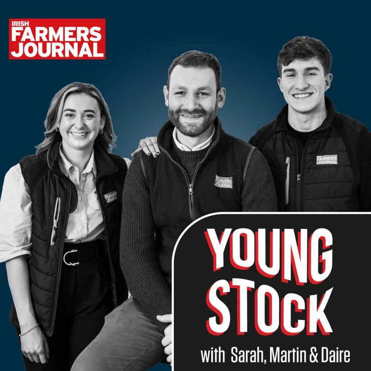 cover art for Young Stock - Going once, going twice!