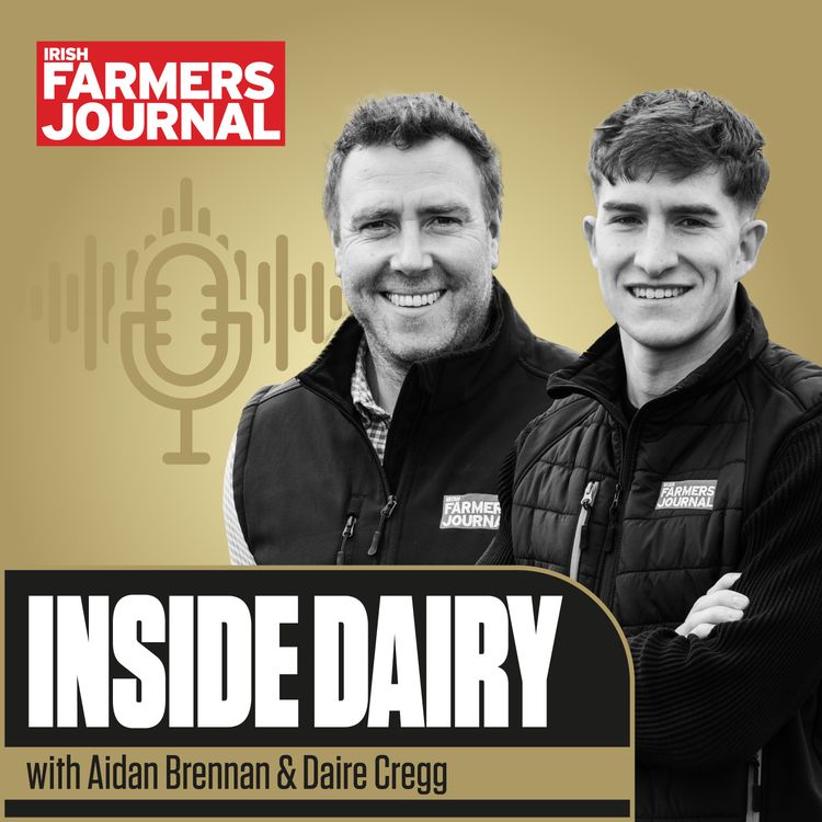 cover art for Trailer Inside Dairy - Ornua market update, Kinisla and non-cycling cows