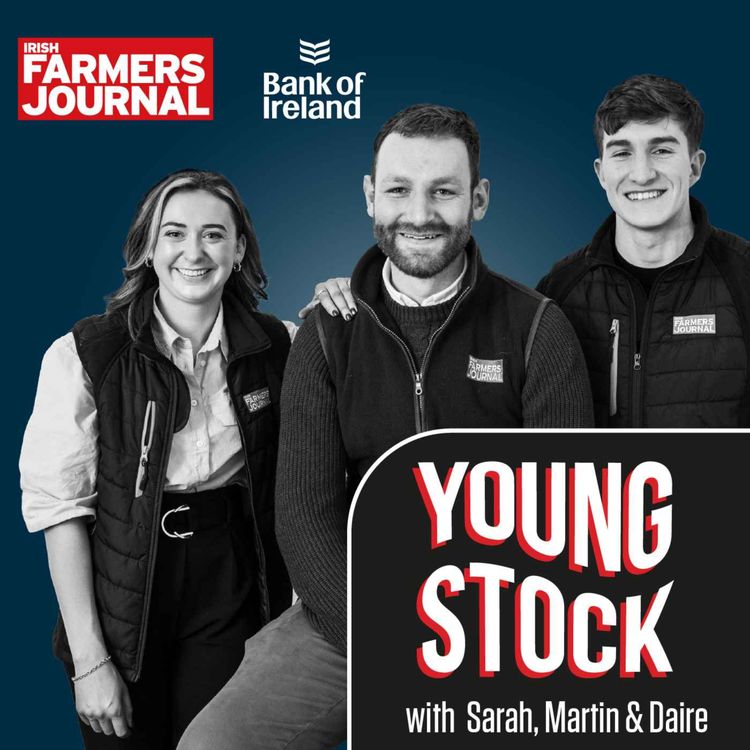 cover art for Young Stock Podcast - Who tells farming’s story best?