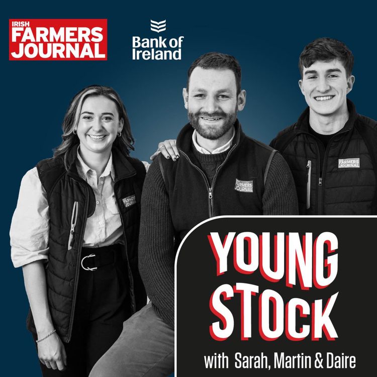 cover art for Young Stock Podcast - Supporting students that face food insecurity