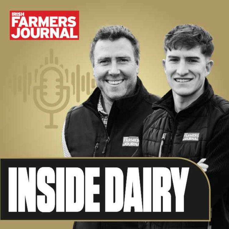 cover art for Trailer Inside Dairy - The new arrival, drought and robot milking