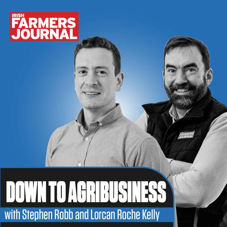 cover art for Down to Agribusiness: Teagasc accounts, PTSB and Tirlán vs Ornua