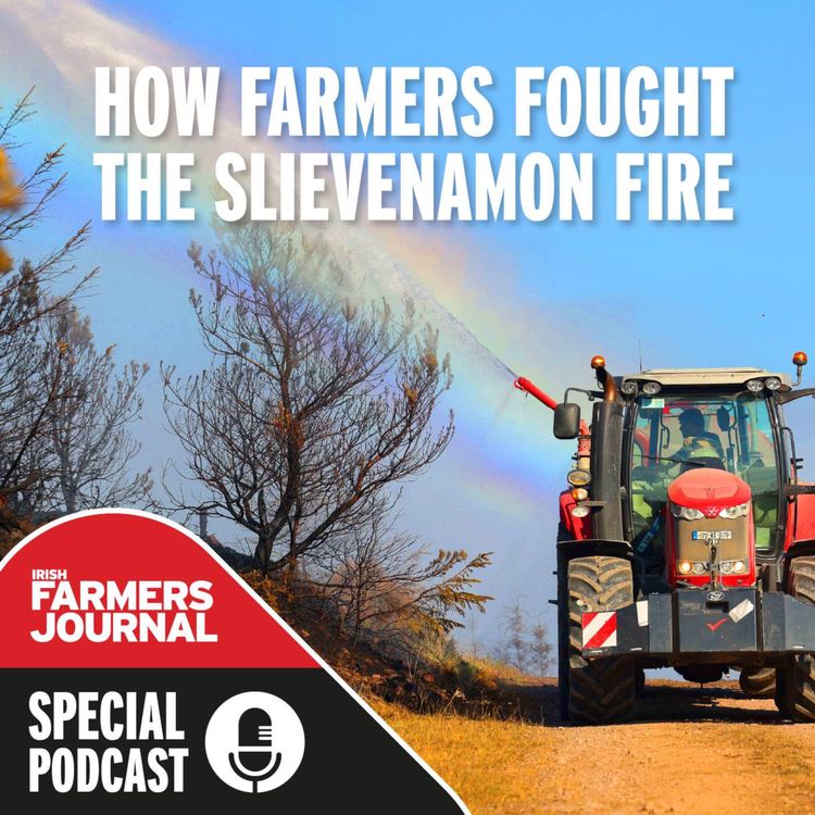 cover art for How farmers fought the Slievenamon fire 