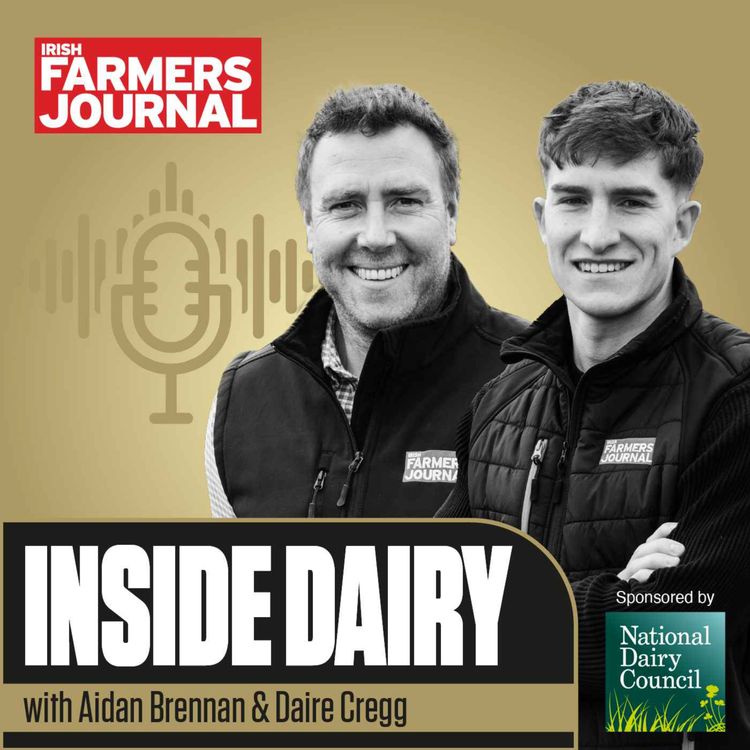 cover art for Inside Dairy Trailer - Rain, butter wars and fertiliser plans