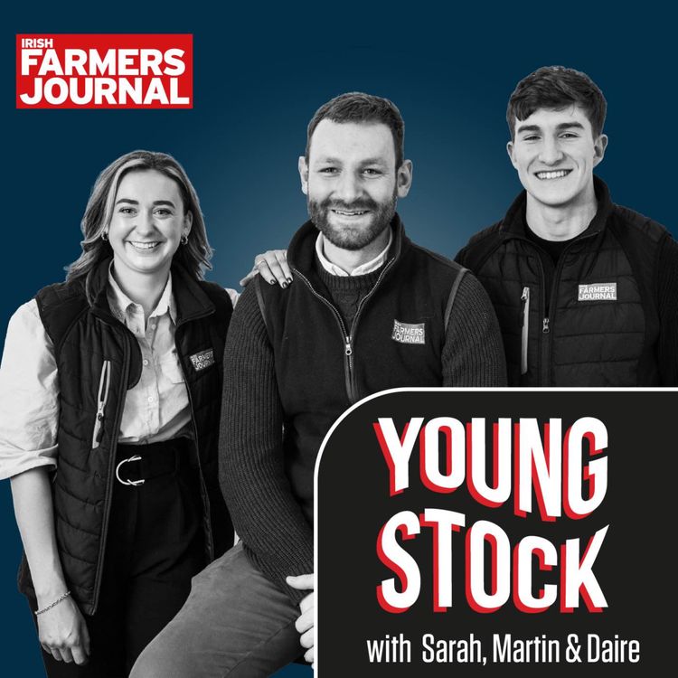 cover art for Young Stock Podcast - ‘the succession conversation should start at a young age’