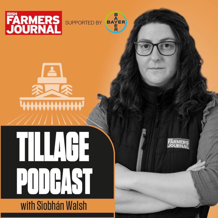 cover art for Tillage Podcast - Harvest, oats, oilseed rape and the straw budget