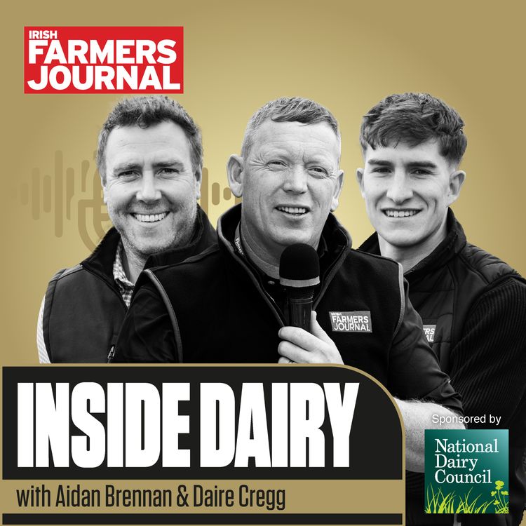 cover art for Trailer Inside Dairy: Drought, fodder budgets, breeding results and milk quality