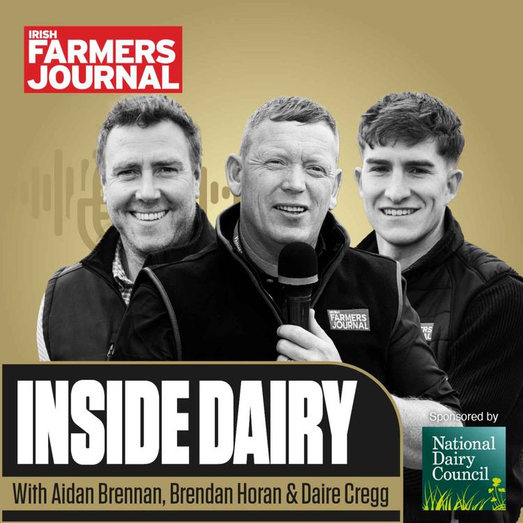 cover art for Trailer Inside Dairy - Managing grass after rain, dairy markets and fertiliser