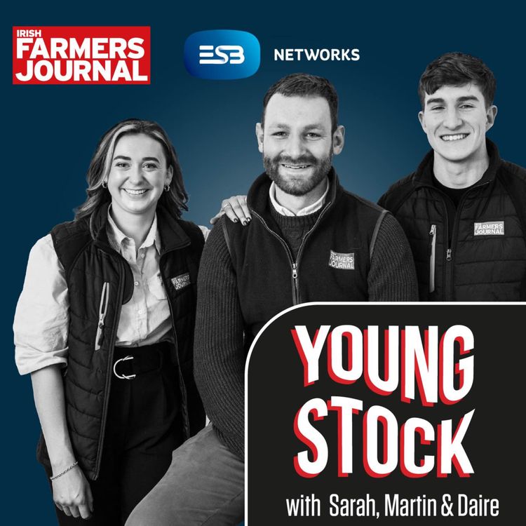 cover art for Young Stock Podcast - Tadhg Furlong on suckies, scrums and spuds