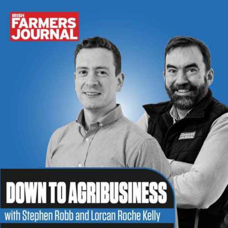 cover art for Down to Agribusiness: Ploughing, planning and budget wish-list 